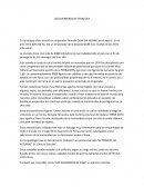 LOS GUERREROS DE TERACOTA