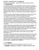 Rollo Estudio y animanción de los ambientes