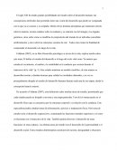 Desarrollo Infancia Feldman