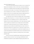 ARTICULOS ASISTENTES DENTALES