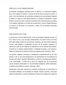 Derecho a la Atunomia Indigena