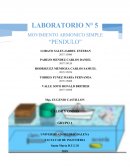 Laboratorio Principio de Arquimedes.