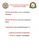 Reporte escolar, investigación de campo cientifico