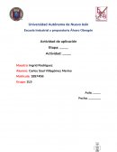 Actividad de aplicacion Español 2do semestre