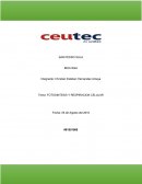 ¿Qué es la fotosíntesis y por qué es importante para todos los seres vivos?