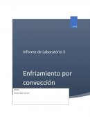 Enfriamiento por conveccion Reporte de Laboratorio