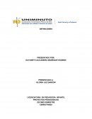 PROYECTOS PEDAGOGICOS DEFINICIONES