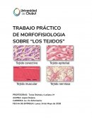 TRABAJO PRÁCTICO DE MORFOFISIOLOGIA SOBRE “LOS TEJIDOS”