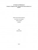 Evidencia 2: Diagrama de flujo “importancia del medio ambiente en la empresa”