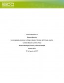 Control_S2 Anatofisiología humana y primeros auxilios