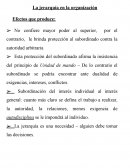 La jerarquía en la organización