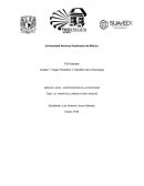 Origen Filosófico Y Científico de la Psicología