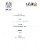 La naturaleza de la enfermeria