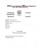 Psicologia Empresarial activiad