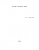 IMPORTANCIA DE CADA UNO DE LOS SISTEMAS