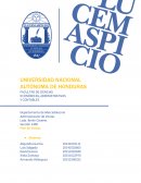 Administración de Ventas - Plan de Ventas