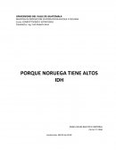 INDICE DE DESARROLLO HUMANO