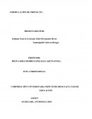 Ensayo FORMULACIÓN DE PROYECTO