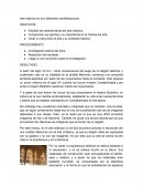 Arte islámico en sus diferentes manifestaciones.