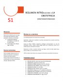 RESUMEN INTROduccion a LA OBSTETRICIA