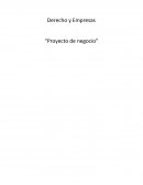 Derecho y Empresas “Proyecto de negocio”