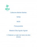 Elaborar un plan de mano de obra