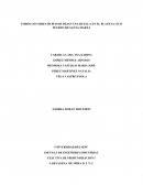 TODOS LOS SERES HUMANOS DEJAN UNA HUELLA EN EL PLANETA: ECO PUERTO DE SANTA MARTA