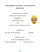 Ensayo las tarantulas