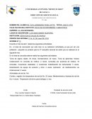 INFORME MENSUAL DE SERVICIO SOCIAL