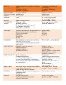 Cuadro comparativo constitucion 1821 -1830 colombia