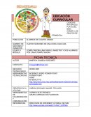 Proyecto computacion