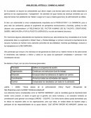 ANÁLISIS DEL ARTÍCULO: “CAMINO AL ANDAR”