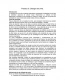 Citologia de orina practica 5