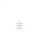 Control 4 Plan de negocios