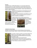 Chimba de archivo
