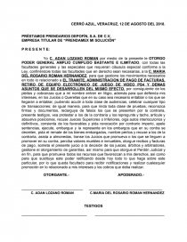 Ejemplo de poder veracruz. Página 1