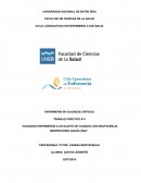 Enfermeria en cuidados críticos- cuidados enfermeros a un sujeto de cuidado con insuficiencia respiratoria Aguda (IRA)