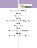 Proyecto Final Argumentación