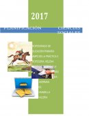 PLANIFICACION SOCIALES