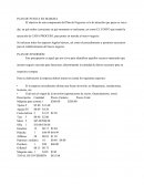 Plan puesta en marcha