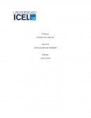 La naturaleza de los códigos morales en la vida cotidiana y los elementos que componen un acto moral