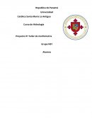 Osman - Informe Morfometrico preliminar de cuenca