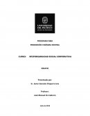 LA RESPONSABILIDAD SOCIAL Y LAS EMPRESAS