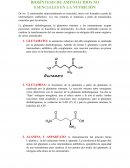BIOSÍNTESIS DE AMINOÁCIDOS NO ESENCIALES EN LA NUTRICIÓN