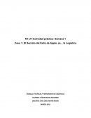 Ensayo Logística Apple