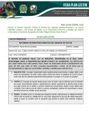GUIA ENSAYO SOCIOLOGIA DE LA SEGURIDAD PARA EL SERVICIO DE POLICIA