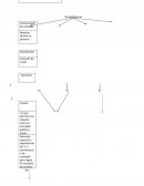Funciones del pensamiento lógico