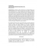 Inicio de procedimiento