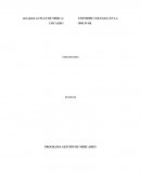 DESARROLLO PLAN DE MERCADEO PARA UNIFORME COLEGIAL EN LA LOCALIDAD CIUDAD BOLIVAR