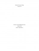 Ensayo Argumentativo Español